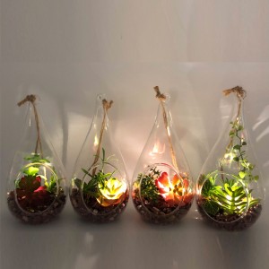 الصمام الزجاجي منضدية ديكور نباتات اصطناعية عصارية مع إناء عرض الكرة الأرضية